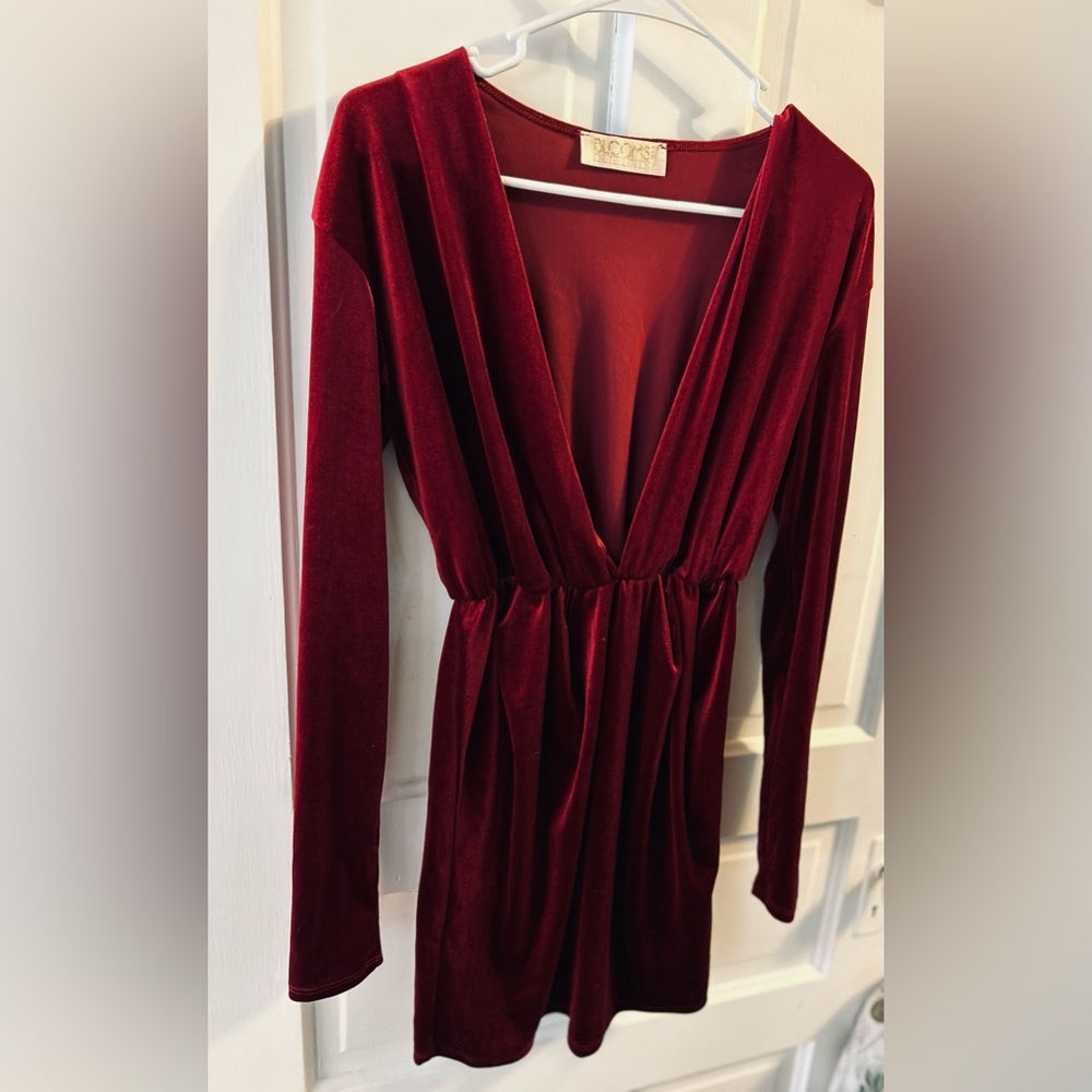 Burgundy Velvet Dress